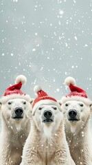 Poster - Three polar bears wearing red hats and santa hats are standing in the snow. The image has a festive and joyful mood, as the bears are dressed up for Christmas