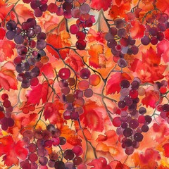 Aufkleber - This is a watercolor painting of red grapes hanging from a vine, surrounded by orange and red autumn leaves. The painting has a vintage feel and captures the beauty of nature during the fall season.