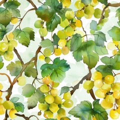 Poster - A watercolor painting of green grapes hanging from a vine with lush green leaves. The grapes are depicted in a cluster and the painting has a light, airy feel.