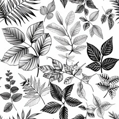 Poster - A black and white hand drawn illustration depicting a seamless pattern of various types of leaves on a white background. The leaves are drawn in detail, with different shapes, sizes, and textures. The