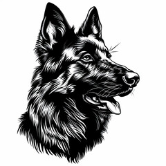 A black and white drawing of a german shepherd dog