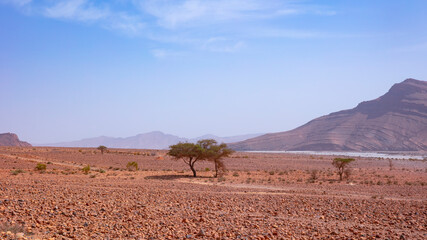 Wall Mural - Beautiful desert landscape- Morocco