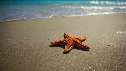 Summer beach. Starfish on the summer tropical beach