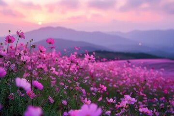 Wall Mural - enchanting flower field ablaze with vivid blooms gentle dusk hues paint picturesque landscape