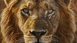© Berkah - Male lion from the Kgalagadi desert facial portrait in fine art. Panthera leo.