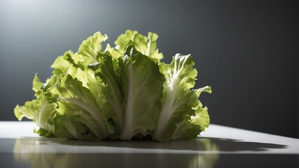 Wall Mural - bunch of lettuce leaves on white table and plain background with dramatic lighting