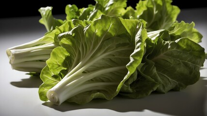 Wall Mural - bunch of lettuce leaves on white table and plain background with dramatic lighting