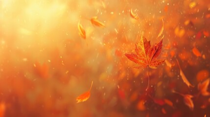 Abstract autumnal background with falling maple leaf orange foliage nature changing concept