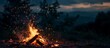 © bemeve - The fire at night, Fire in the woods or forest. Camping trip concept. Cozy fire or bonfire in a natural spot.