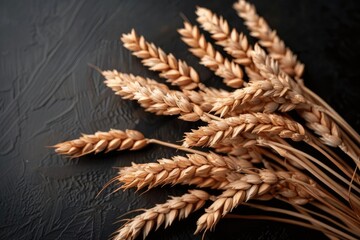 Close-up of wheat stalks on a dark textured background, showcasing the golden grains in detailed focus, perfect for agricultural and food themes.