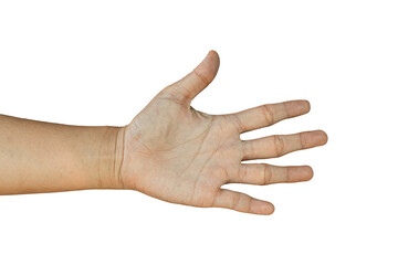 Wall Mural - Female hand gesture Isolated on transparent background, PNG File.