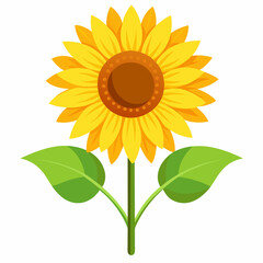 Wall Mural - vector illustration of sunflower