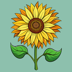 Poster - vector illustration of sunflower