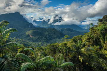 Wall Mural - horizontal image of a wild exotic landscape, with a tropical rainforest, mountains in the background, clouds in the sky