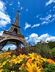 Discover the enchanting beauty of Paris with this picturesque image of the Eiffel Tower framed by vibrant, blossoming flowers. The juxtaposition of the iconic landmark and colorful flora captures the 