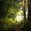 © Tam arom24 - Enchanted Forest Retreat: Tranquil Lake, Lush Greenery, and Sunlit Pathway in a Vibrant Woodland Setting