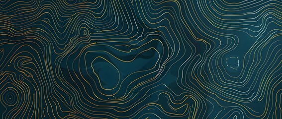 Poster - Vector illustration of topographic lines on a dark blue background, with a simple and minimalistic design featuring golden outlines. This could be a modern poster or banner