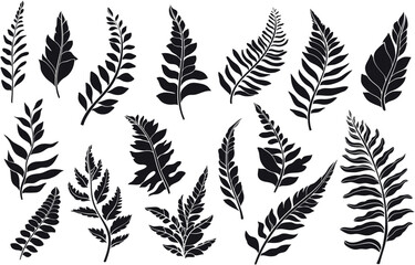 Wall Mural - set of silhouette of wild forest plants, leaves and young ferns. Vector illustration