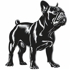 A black and white drawing of a bulldog dog