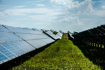 photovoltaic solar panels, alternative energy concept. solar energy panels on the field.