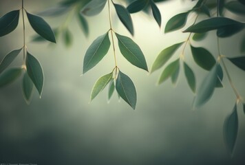 Poster - A close up of a green leaf hanging from the branch. AI.