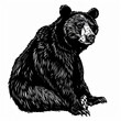 © MagnusCort - A black and white drawing of a bear sitting down