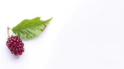 Poster - Closeup Mulberry fruit with leaf isolated on white background : Generative AI