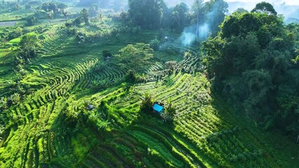 Wall Mural - Agricultural landscape of Sidemen, in Karangasem Regency, Bali, Indonesia