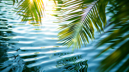 Palm leaf on the water with sun rays. Summer background.