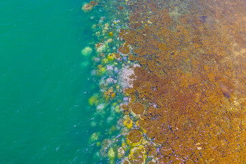 Warmer water temperatures result coral reef bleaching, aerial top view. Greenhouse gas emissions are killing shellfish in coral reefs on tropical islands' coastal shelves