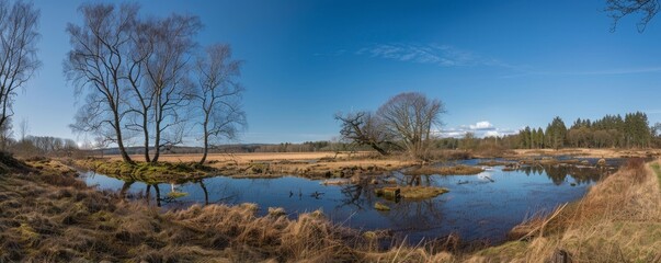 Tranquil Reflection in a Springtime Meadow, Wide Landscape