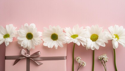Wall Mural - minimal styled concept white daisy chamomile flowers on pale pink background creative lifestyle summer spring concept copy space flat lay top view