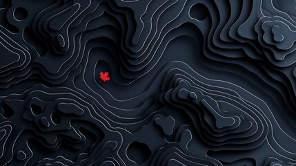 single red maple leaf is embroidered on a dark grey paper background, styled with a topographical design reminiscent of a world map.