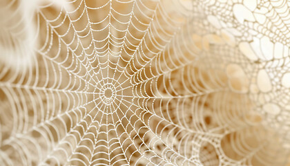 Lace is the delicate intricacy of a spider's web: Illustrate a close-up of lace fabric, with its intricate and delicate texture resembling a spider's web, symbolizing beauty and delicacy