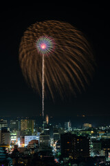 Wall Mural - Beautiful fireworks at Kisarazu Minato Matsuri Fireworks