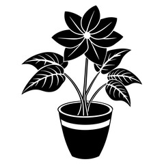 Indoor plant, flower Isolated Flat silhouette black    