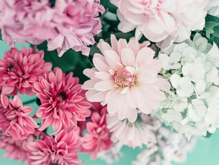 Aufkleber - Close-Up Display of Colorful Blooming Flowers Featuring Delicate Petals and Vibrant Colors