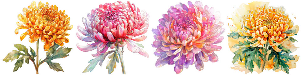 Sticker - Four different colored flowers are shown in a row