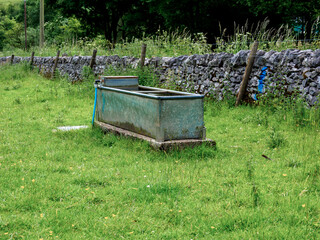 Wall Mural - A metal water trough in a lush green pasture, set against a rustic stone wall on a cloudy day.