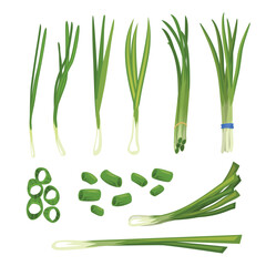 Set of chives set collection with slices green onion, verdure bunch. Chopped green chives, Green spring onion chopped chives, fresh cut green onion plant Healthy vegetarian food and spice. 