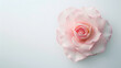 © Generative AI - lightpink rose blossom on white background : Generative AI