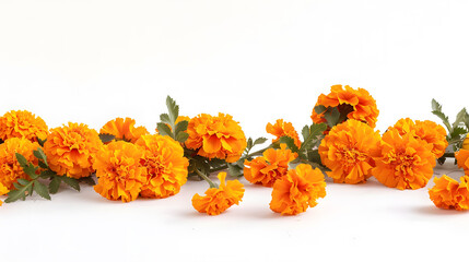 Wall Mural - Marigold flowers garland isolated on white background Marigold garland for day of the dead or halloween holiday design : Generative AI