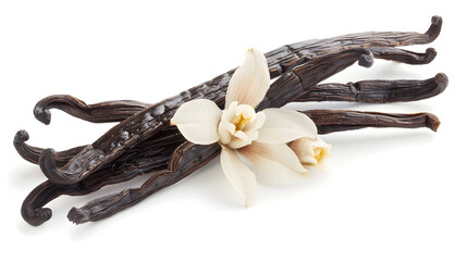 Poster - Vanilla pods isolated Dried vanilla sticks and vanilla flower on white background Aromatic ingredient for baking : Generative AI