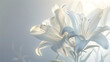 © Generative AI - Condolence card with white flowers lily Funeral symbol : Generative AI