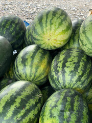 Canvas Print - fresh watermelon in the market