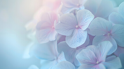 Wall Mural - Delicate natural floral background in light blue and violet pastel colors Texture of Hydrangea flowers in nature with soft focus macro : Generative AI