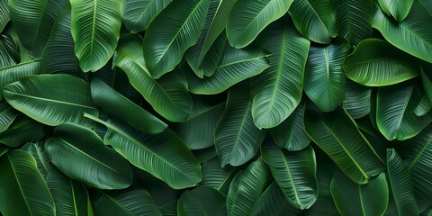Wall Mural - Hand-drawn Banana Leaves and Palm Leaves Tropical Pattern for Printing. Concept Tropical Pattern, Banana Leaves, Palm Leaves, Hand-drawn, Printing