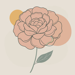 Sticker - vector illustration of Carnation dianthus clove