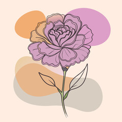 Wall Mural - vector illustration of Carnation dianthus clove