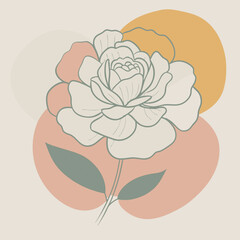 Sticker - vector illustration of Carnation dianthus clove